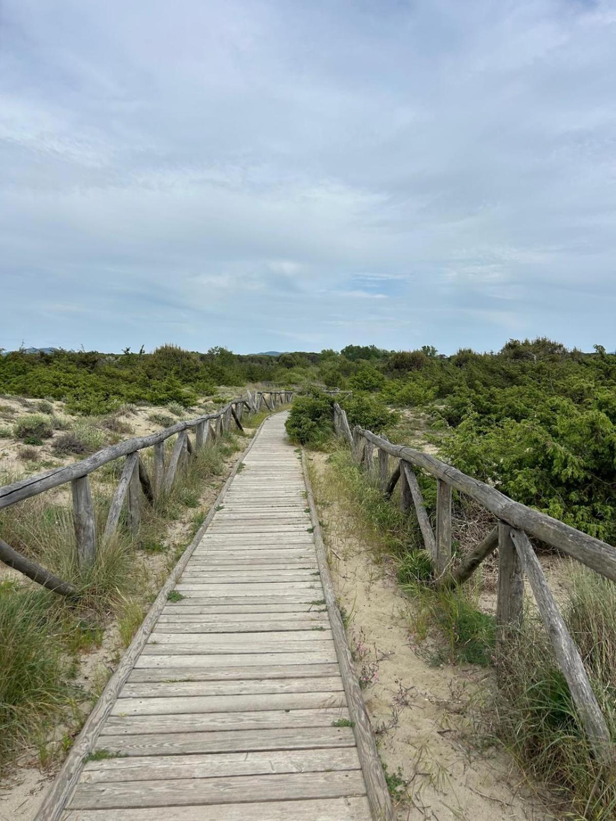 Il Mio Piccolo Angolo Di Mare Viareggio Zewnętrze zdjęcie